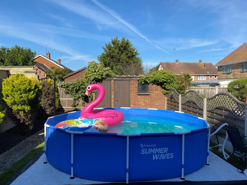 Swimming pool with flamingo
